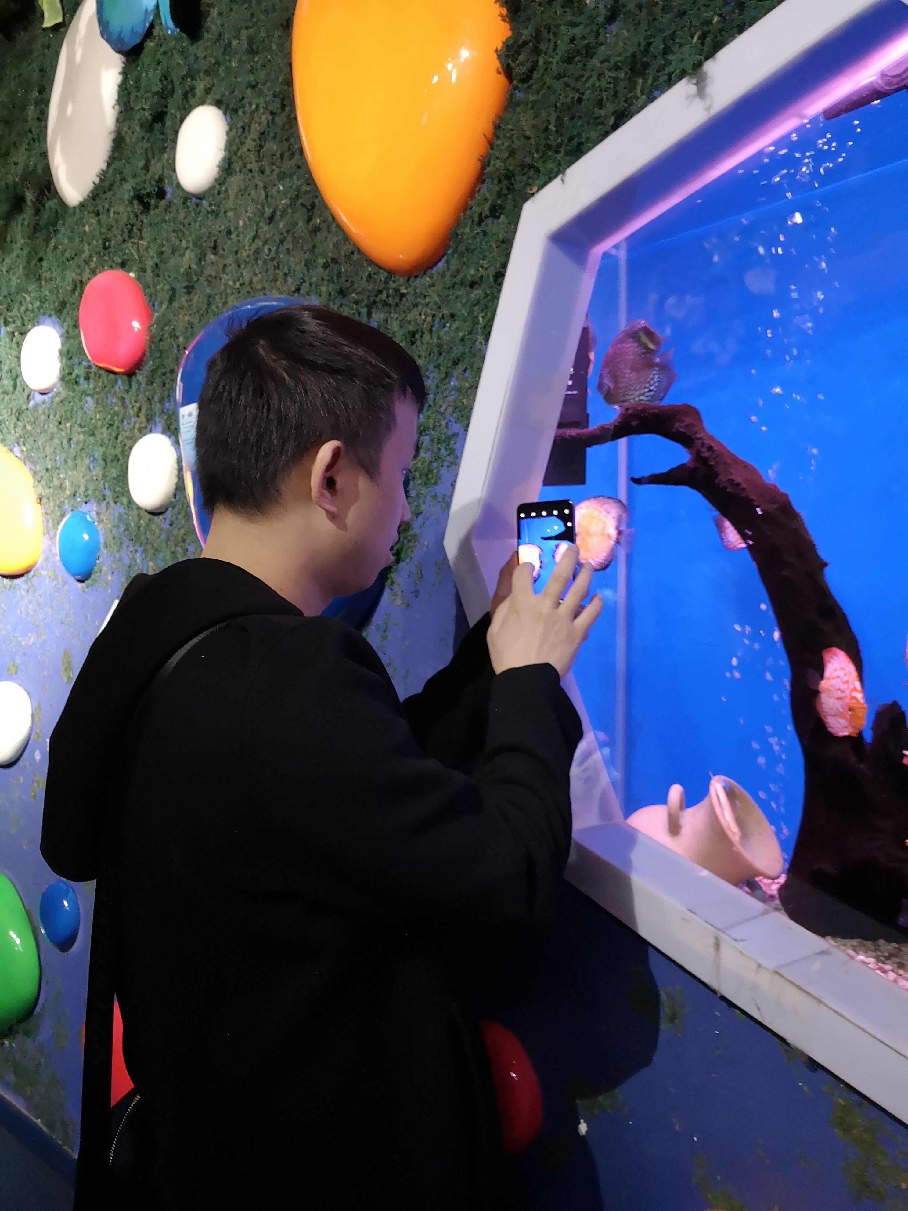 Mmexport1545217636508